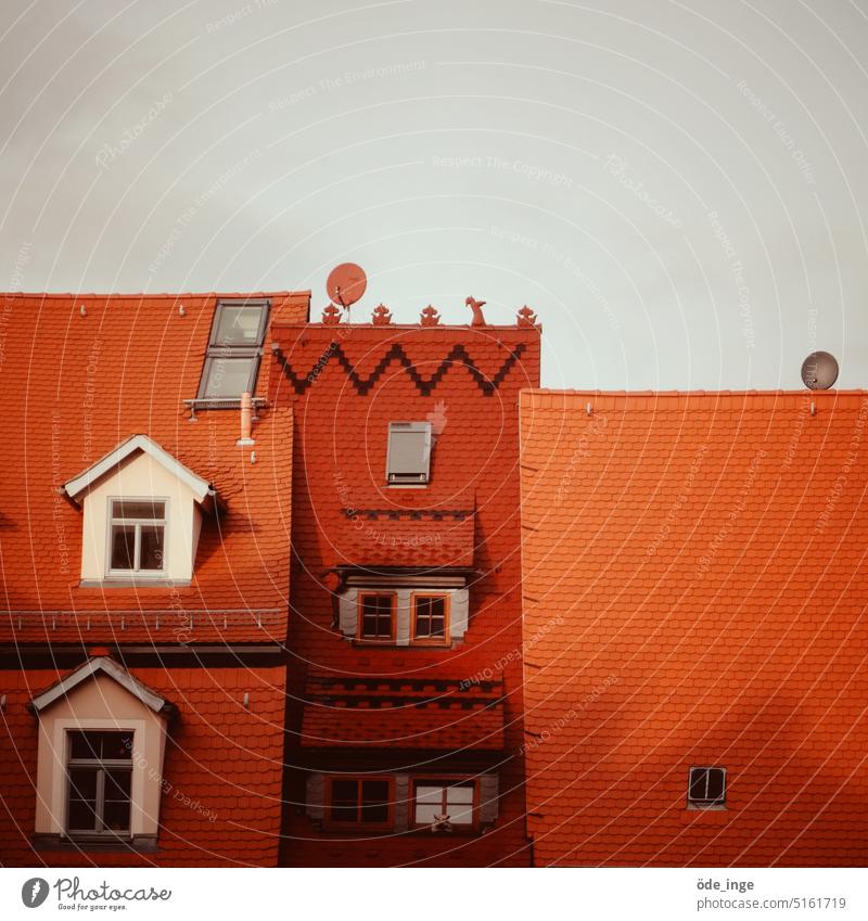 Dachverband dächer Ziegeldach Dachziegel Haus Gebäude rot Architektur Fenster Bauwerk Altstadt Dachfenster satelittenschüssel