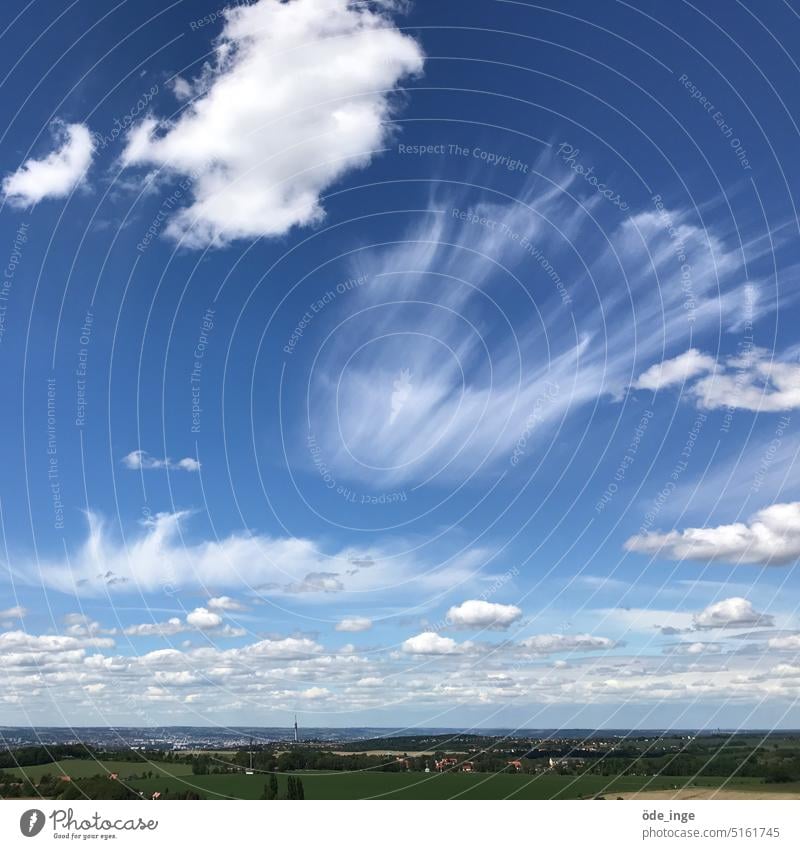 Sylphe Schleierwolken Himmel Wolken Horizont blau Landschaft Sommer Außenaufnahme Schönes Wetter Dresden Leichtigkeit Ferne Panorama (Aussicht) Luft Firmament