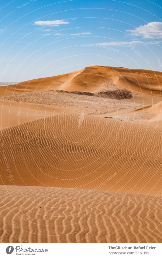Düne vor blauem Himmel mit Muster Sand Namibia Sandkörner Musterung Natur Landschaft Afrika Ferne Wärme Farbfoto Dünen