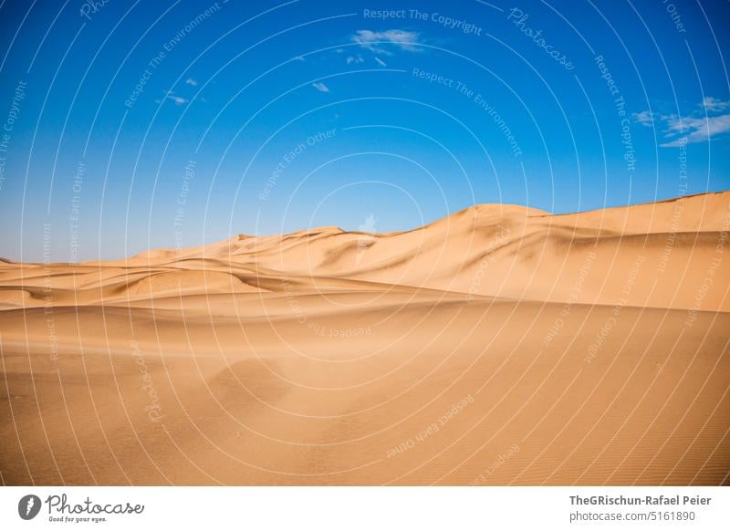 Düne vor blauem Himmel Muster Sand Namibia Sandkörner Musterung Natur Landschaft Afrika Ferne Wärme Farbfoto Dünen Farben sandig