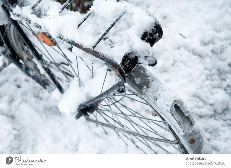 Steckengeblieben Fahrrad Schnee Winter weiß fahren Fortbewegung Umwelt Klima Wetter eingeschneit zugeschneit kalt Außenaufnahme Winterstimmung frieren