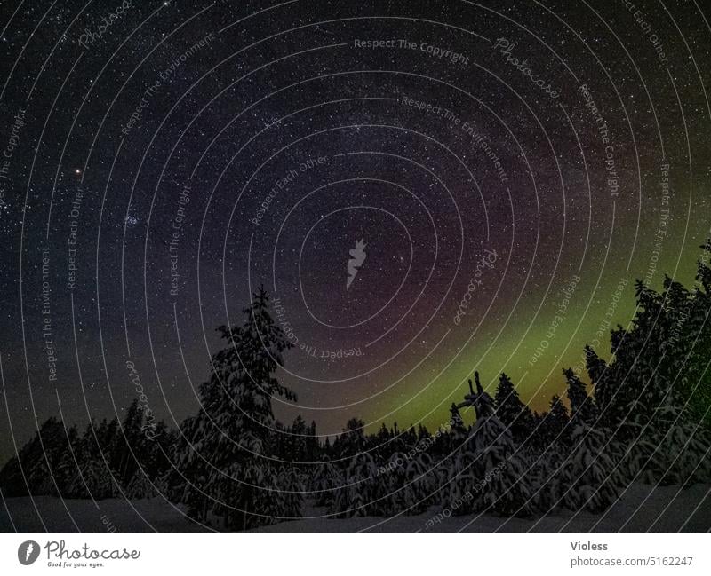 900 Milliarden Sterne Nordlicht Schweden Abisko Schnee Tannen Polarlicht Nordlichter Leuchterscheinung Aurora Sonnenwind schwedisch Lappland Frost Kälte Nacht