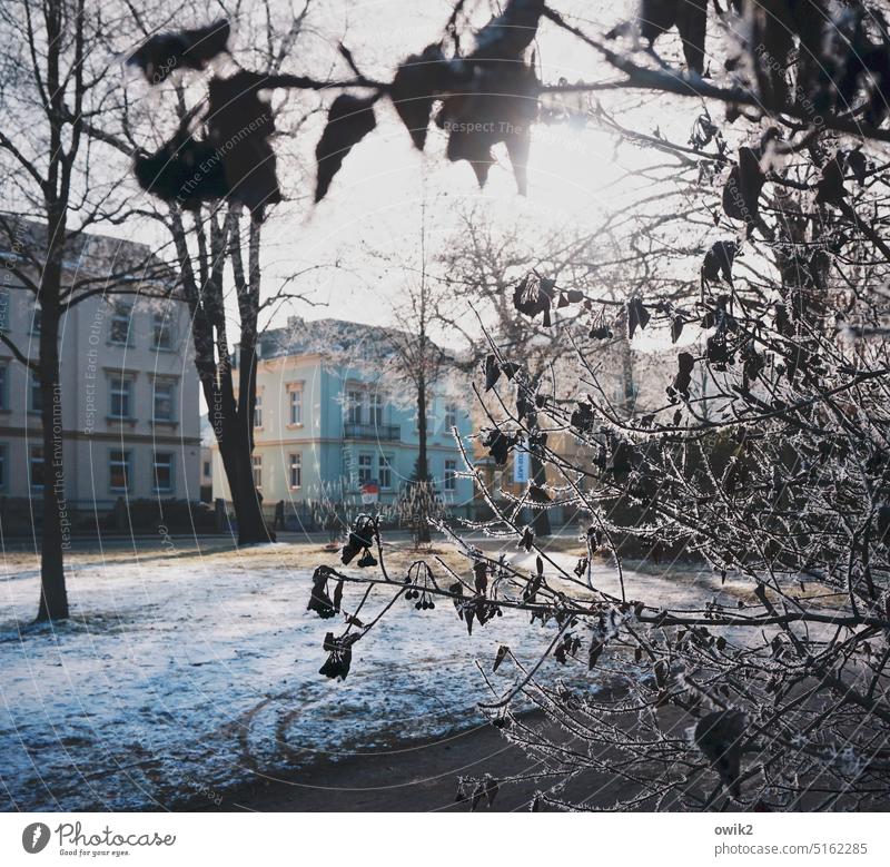 Wallstraße Park Landschaft Winter Schönes Wetter Umwelt Natur Himmel Schnee Kontrast weiß Menschenleer kalt Tag Außenaufnahme Licht Wege & Pfade Dämmerung Baum