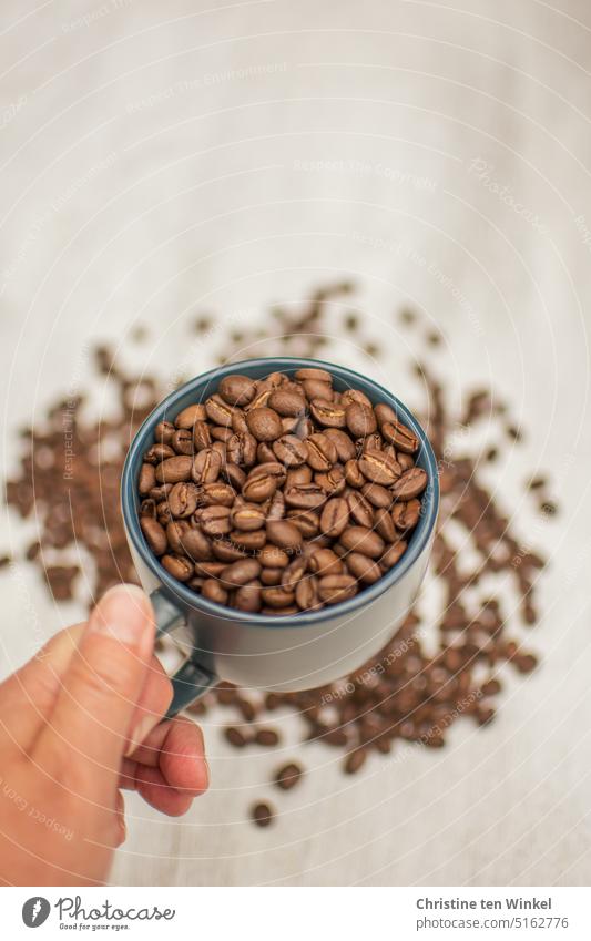 Hellwach in die neue Woche Kaffeetasse Kaffeebohnen Kaffeebohnen in einer Tasse Hand Holztischplatte Tischplatte rösten Lifestyle Bohnen geröstet braun