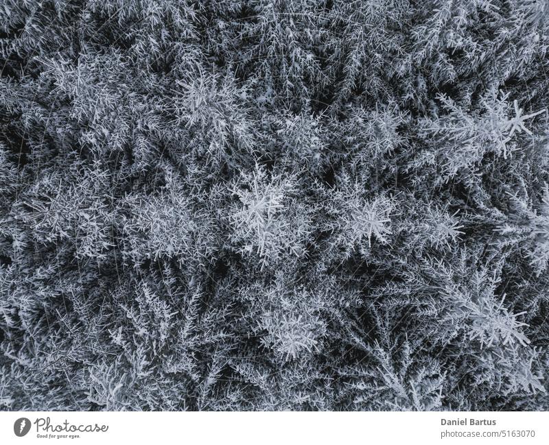 Luftaufnahme einer schönen Winterwaldlandschaft Luftwald Luftbildfotografie Schnee in der Luft Winter in der Luft Hintergrund Schönheit blau kalt Landschaft