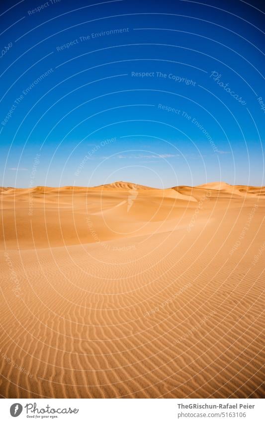 Düne vor blauem Himmel mit Muster Sand Namibia Sandkörner Musterung Natur Landschaft Afrika Ferne Wärme Farbfoto Dünen Blauer Himmel Wüste Abenteuer reisen