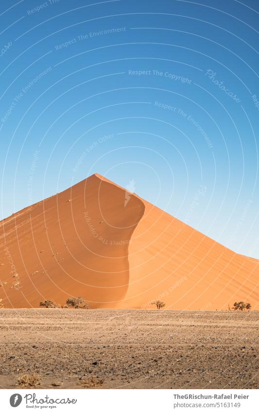 Düne vor blauem Himmel Sand Namibia Afrika reisen Wüste Landschaft Abenteuer Natur Wärme dune 45 Sossusvlei Ferne