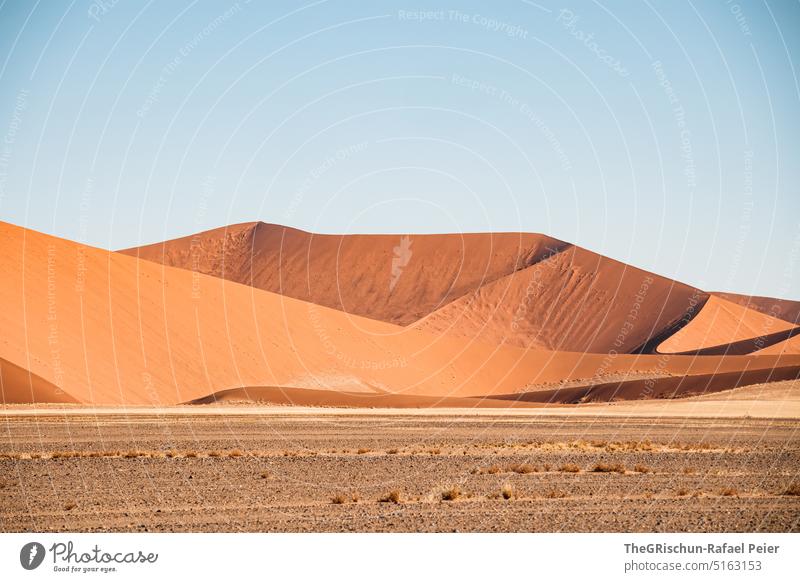 Sanddüne vor blauem Himmel Namibia Wüste Sossusvlei Düne trocken heiß Afrika Landschaft Natur Ferne Wärme Abenteuer Einsamkeit Ferien & Urlaub & Reisen reisen