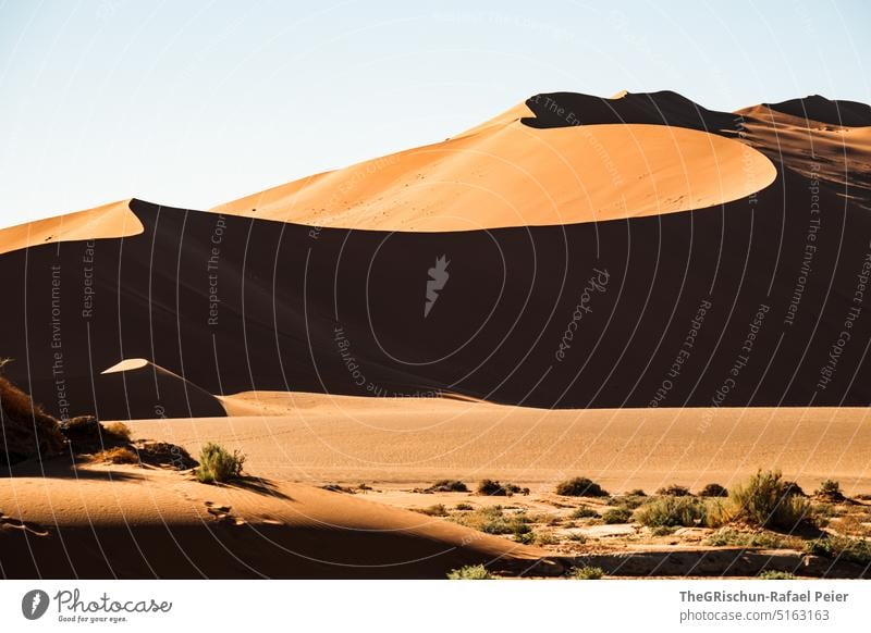 Sanddüne vor blauem Himmel Namibia Wüste Sossusvlei Düne trocken heiß Afrika Landschaft Natur Ferne Wärme Abenteuer Einsamkeit Ferien & Urlaub & Reisen reisen