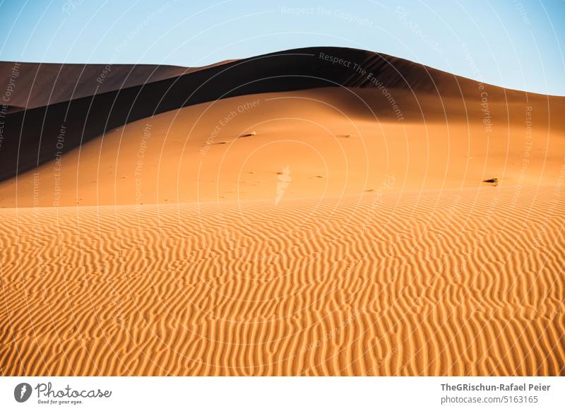 Sanddüne Musterung vor blauem Himmel Namibia Wüste Sossusvlei Düne trocken heiß Afrika Landschaft Natur Ferne Wärme Abenteuer Einsamkeit