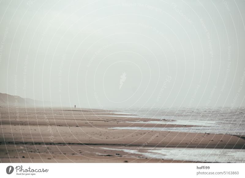 einsamer Spaziergänger in der Ferne   am weiten Strand mit Sandsturm, Nebel und diesiger Sicht. Brandung Dänemark Sandstrand Herbst Strandspaziergang Sturm