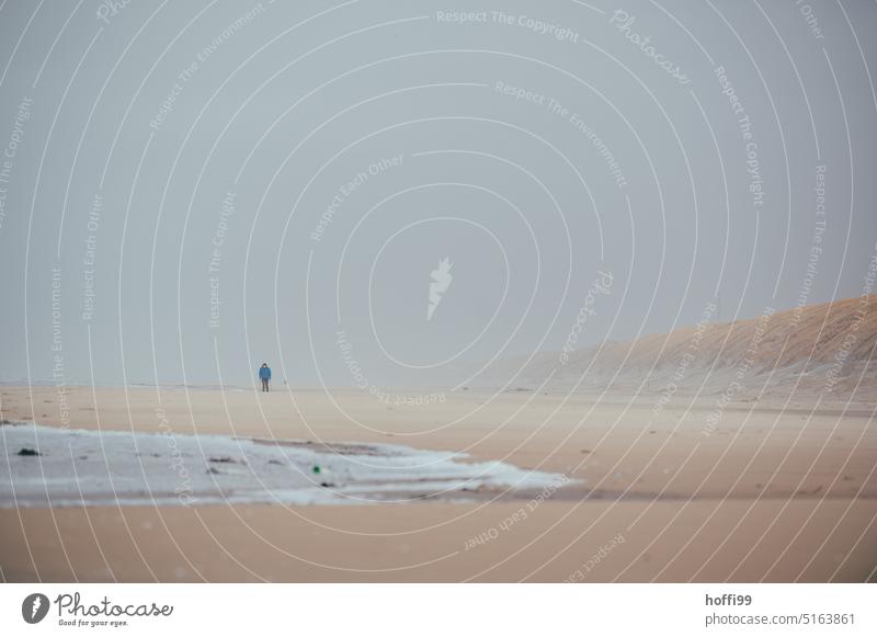 einsamer Mensch am weiten Strand mit Sandsturm, Nebel und diesiger Sicht. Brandung Dänemark Sandstrand Herbst Strandspaziergang Sturm Verwehung Weite Winter