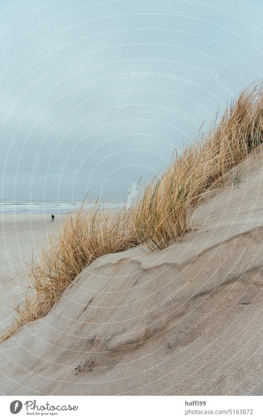 Blick über eine Düne auf einen einsamer Spaziergänger am Stand bei schlechtem, stürmischen Wetter Dänemark Regen Regenmantel Strandspaziergang Natur im Freien