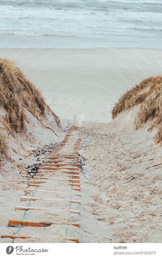 Weg über eine Strickleiter als Steighilfe hinunter zum Strand Dänemark Düne Dünengras Herbst Sturm Winter Wolken wehen wind Seilleitern steighilfe Klettern Gras