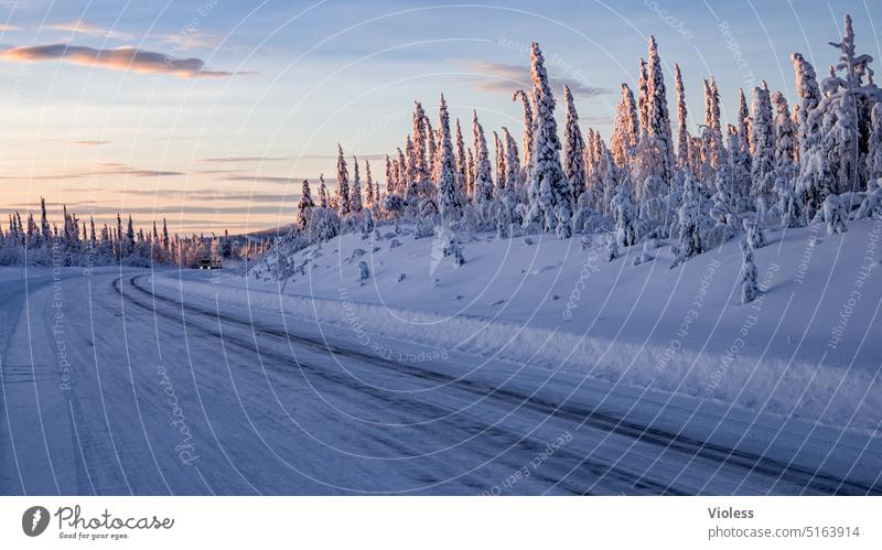 spuren | gen norden fahren Schweden Lappland Naturreservat Nordschweden Fichte Tannen Winter Frost Schnee Sonnenaufgang Morgenröte schneebedeckt gefroren Kalt