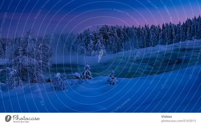 Storforsen Stromschnellen im Abendlicht VII storforsen Norrbottens län Schweden Nordschweden Naturreservat Winter Frost Schnee Kalt gefroren Abendröte Tannen