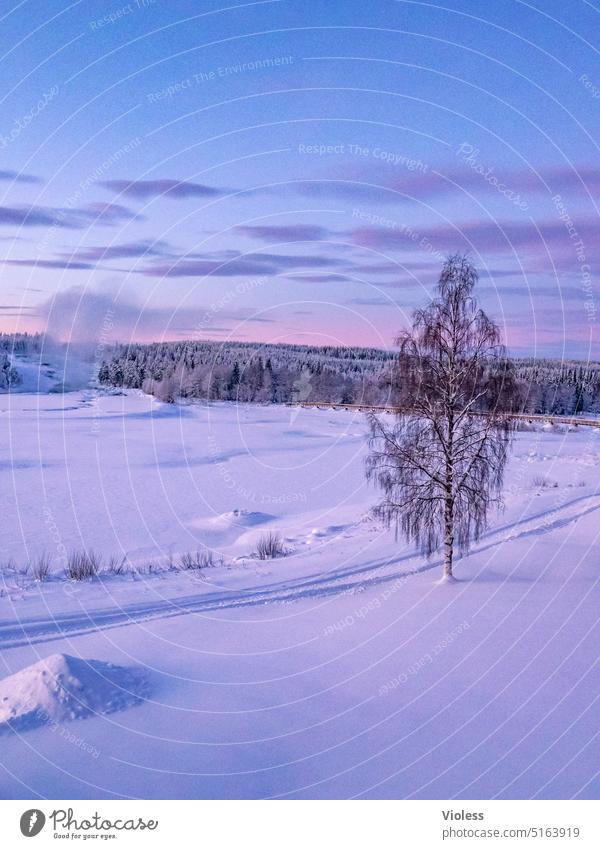 Storforsen Stromschnellen im Morgenlicht II storforsen Norrbottens län Schweden Nordschweden Naturreservat Winter Frost Schnee Kalt gefroren Tannen Fichte wild
