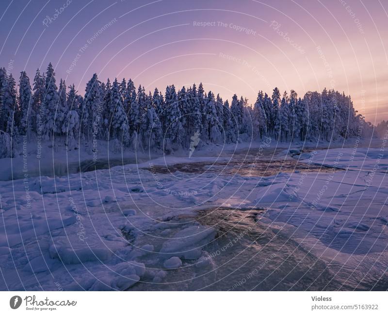 Storforsen Stromschnellen im Abendlicht IV storforsen Norrbottens län Schweden Nordschweden Naturreservat Winter Frost Schnee Kalt gefroren Abendröte Tannen