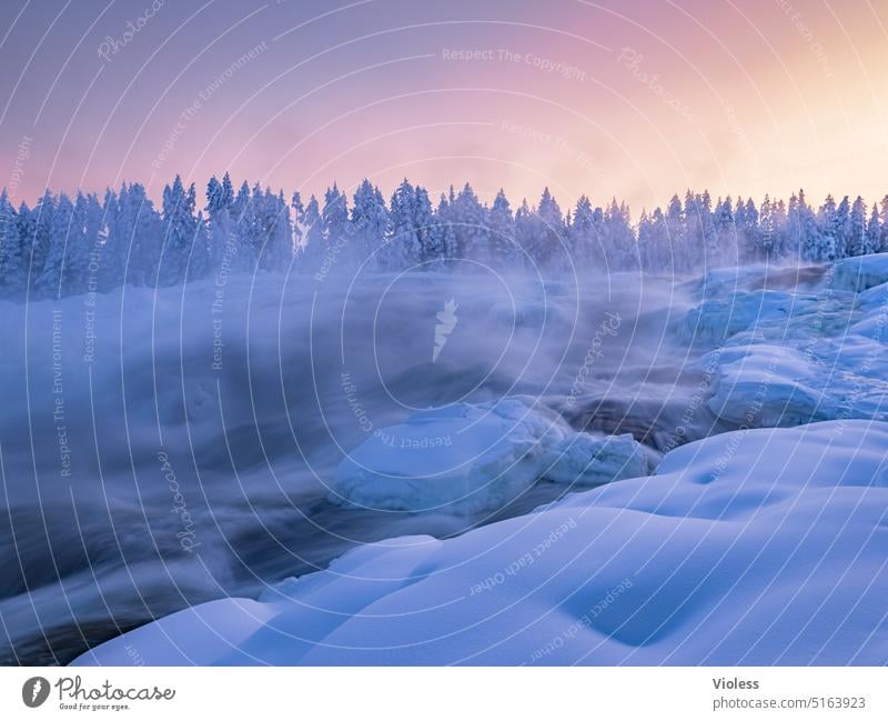 Storforsen Stromschnellen im Abendlicht V storforsen Norrbottens län Schweden Nordschweden Naturreservat Winter Frost Schnee Kalt gefroren Abendröte Tannen