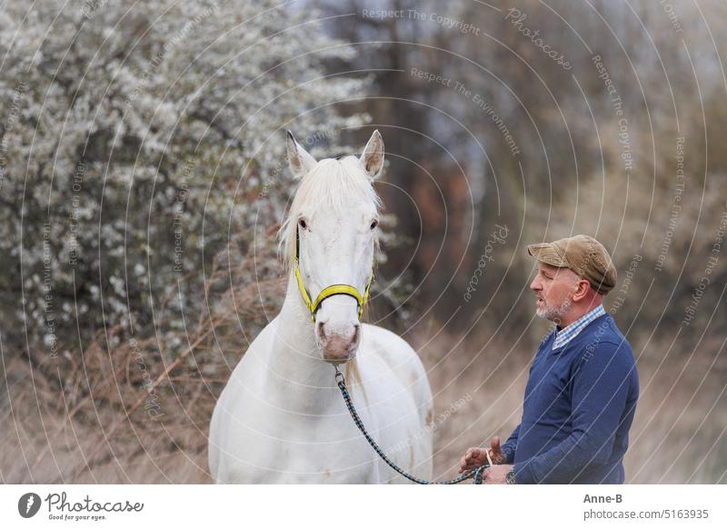 ein Mann und ein Pferd führen ein Gespräch, der Mann trägt einen blauen Pullover, das Pferd ein gelbes Halfter, im Hintergrund blühende Büsche im April klug