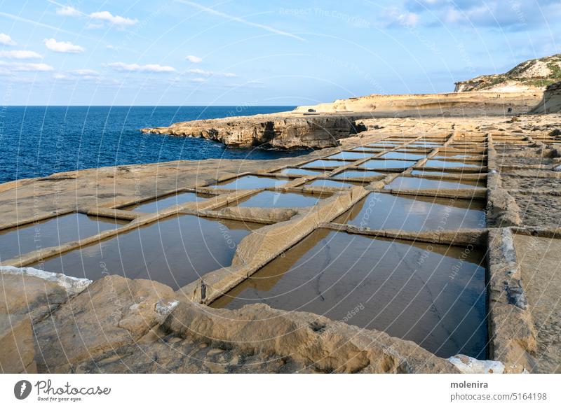 Salzverdunstungspfannen auf Gozo, Malta Insel mediterran Wasser Europa MEER Landschaft Küste Natur maltesisch Verdampfung Felsen Pfannen Stein Küstenlinie