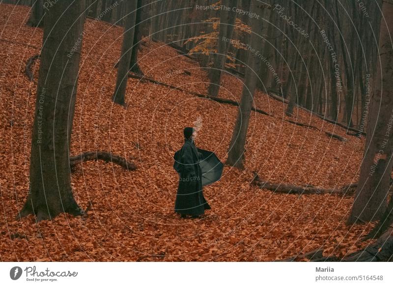 Junges Mädchen mit schwarzem Regenschirm im Herbstwald Junge Frau Wald trist Park drei Blätter Landschaft Natur Herbstlaub Herbstwetter orange Querformat Umwelt