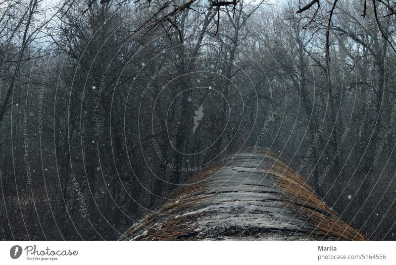 Düstere Landschaft einer Betonstraße im Schneefall (stalinistische Metro, Kiew) trist Natur Baum Umwelt Winter Stollen kalt grau Wetter Winterstimmung