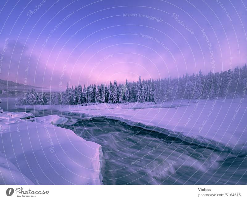 Storforsen Stromschnellen im Abendlicht storforsen Norrbottens län Schweden Nordschweden Naturreservat Winter Frost Schnee Kalt gefroren Abendröte Tannen Fichte