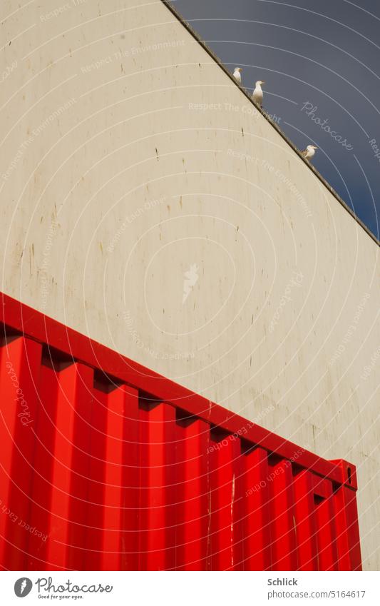 Drei Möwen bewachen einen roten Seecontainer Wand Himmel blau weiß drei Fischerihafen angeschnitten Perspektive Außenaufnahme Farbfoto Menschenleer Mauer Tag