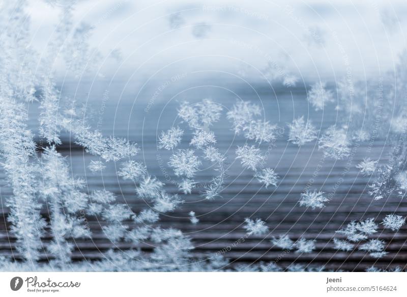 Eisscheibe frostig Eiskristalle weiß Wetter Kälte Klima Eisblumen Fenster Fensterscheibe Frost Winter kalt gefroren Kristallstrukturen Winterstimmung