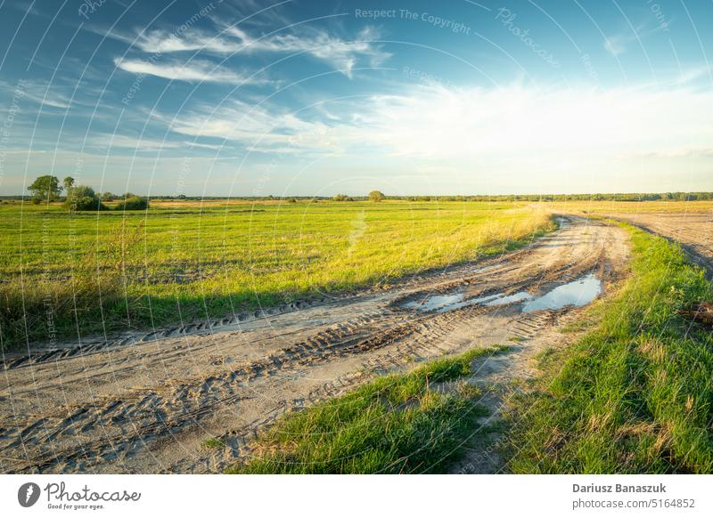 Sandige Straße mit einer Pfütze durch ländliche Felder und weiße Wolken am Himmel, Czulczyce, Polen blau Gras Natur Cloud grün Landschaft Schmutz Hintergrund