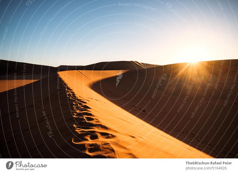 Sonnenuntergang auf Düne Sand Namibia Afrika reisen Wüste Landschaft Abenteuer Natur Wärme Sossusvlei Ferne Schatten Licht Blauer Himmel sandig Menschenleer