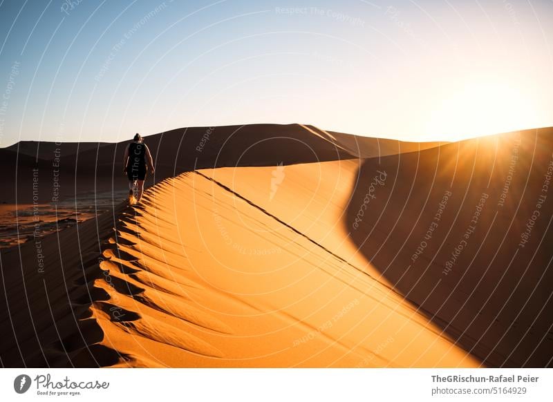 Sonnenuntergang auf Düne Sand Namibia Afrika reisen Wüste Landschaft Abenteuer Natur Wärme Sossusvlei Ferne Schatten Licht Blauer Himmel sandig touristisch