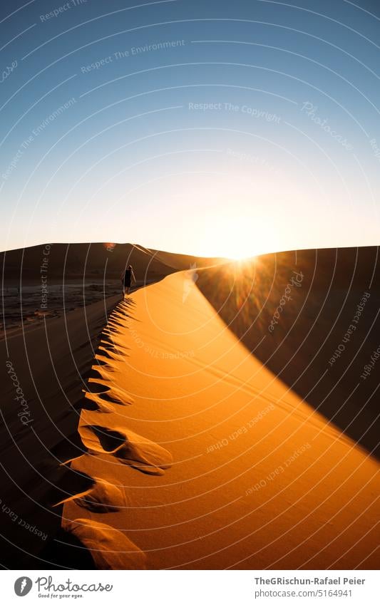Sonnenuntergang auf Düne Sand Namibia Afrika reisen Wüste Landschaft Abenteuer Natur Wärme Sossusvlei Ferne Schatten Licht Blauer Himmel sandig touristisch