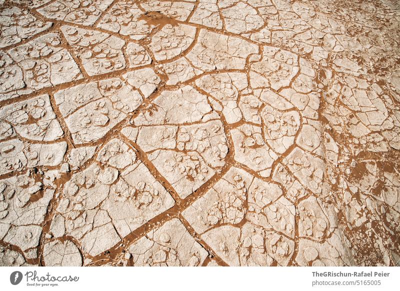 trockener Sand Namibia Wüste heiß Afrika Landschaft Natur Ferne Wärme reisen Außenaufnahme Muster Detailaufnahme Sandmuster sandig Strukturen & Formen