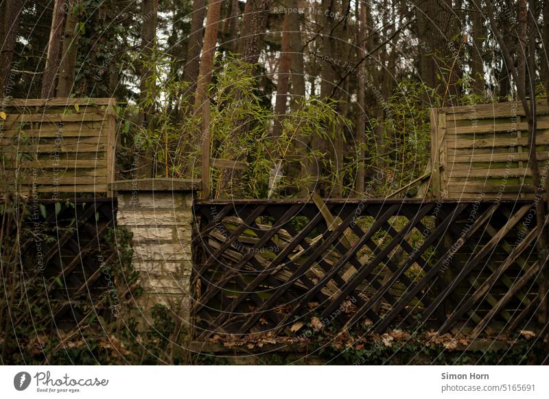 Lücke zum Wald Zaun Öffnung Durchbruch kaputt Zerstörung Loch Natur Wand Verfall Zugang Sichtschutz Naturschutz Umweltschutz