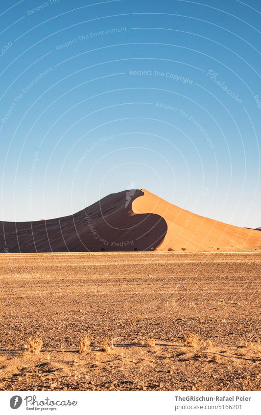Düne vor blauem Himmel Sand Namibia Afrika reisen Wüste Landschaft Abenteuer Natur Wärme dune 45 Sossusvlei Ferne Schatten Licht Blauer Himmel sandig