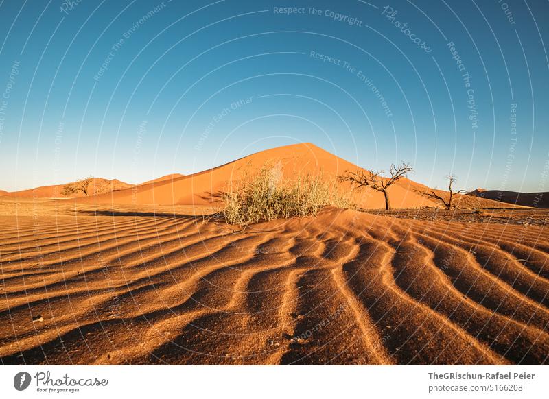 Sanddühne mit Sandmuster im Vordergrund Düne Namibia Afrika reisen Wüste Landschaft Abenteuer Natur Wärme dune 45 Sossusvlei Ferne braun goldig sandig imposant