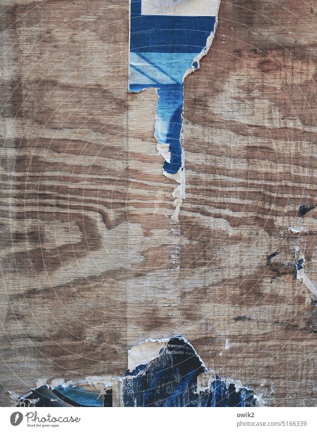 Bergtour Holz alt Verfall Holzmaserung Papierfetzen Plakatwand Rest Vergänglichkeit Farbfoto Zerstörung Außenaufnahme abstrakt Menschenleer Strukturen & Formen