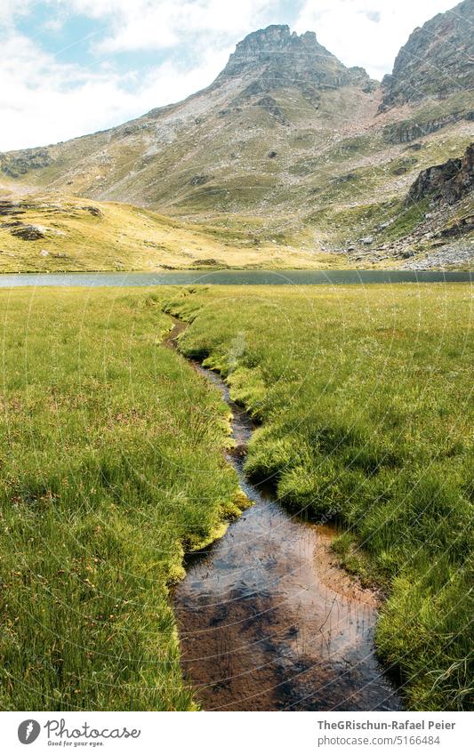Bach mit Moos fliesst in Bergsee Gras Wasser Außenaufnahme Natur Pflanze Farbfoto Menschenleer grün Tag See Berge u. Gebirge Steine erfrischend