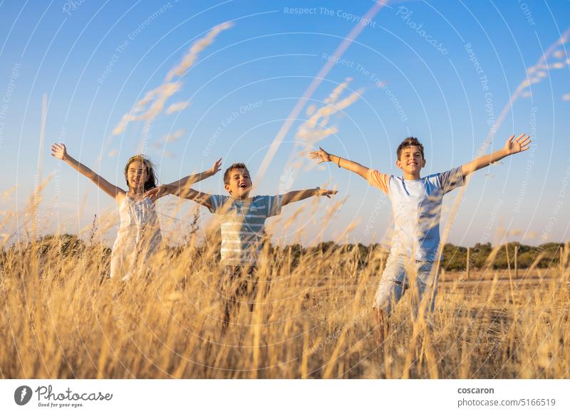 Drei Kinder mit offenen Armen auf dem Lande im Sommer Air Waffen Hintergrund schön Kindheit Konzept Landschaft Tag trocknen genießen Familie Feld frei Freiheit