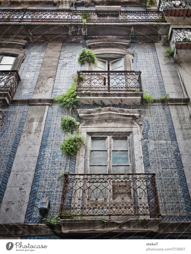 Balkon in Lissabon Fassade Fenster alt Armut authentisch historisch Stadt blau grau grün Fliesen u. Kacheln verfallen Farbfoto Außenaufnahme Menschenleer