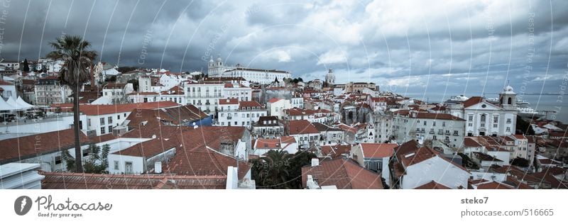 Kreuzfahrtschiff-Versteck Wolken schlechtes Wetter Baum Küste Meer Hauptstadt Hafenstadt Stadtzentrum Skyline Haus Dach blau rot weiß Lissabon Palme Farbfoto