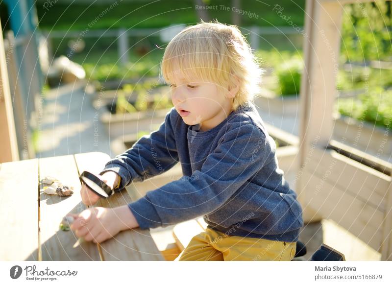 Kind spielt mit Kieselsteinen und erforscht sie mit einer Lupe. Kleiner Junge untersucht verschiedene natürliche Materialien. Kinder erforschen die Natur. Alternative Erziehung. Montessori-Bildungssystem.