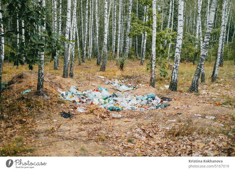 Mülldeponie, Müll im Birkenwäldchen. Verschmutzung der Natur durch unverantwortliche Menschen Tasche dreckig Müllhalde Umwelt Kunststoff wiederverwerten