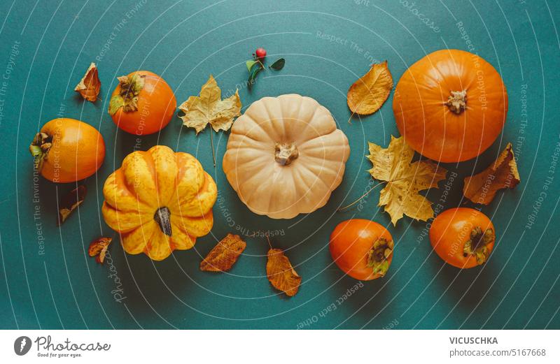 Herbstkomposition mit Kürbissen, Kaki und Herbstblättern auf blauem Hintergrund, Ansicht von oben Composing Persimone Herbstlaub Draufsicht orange Farbe Oktober