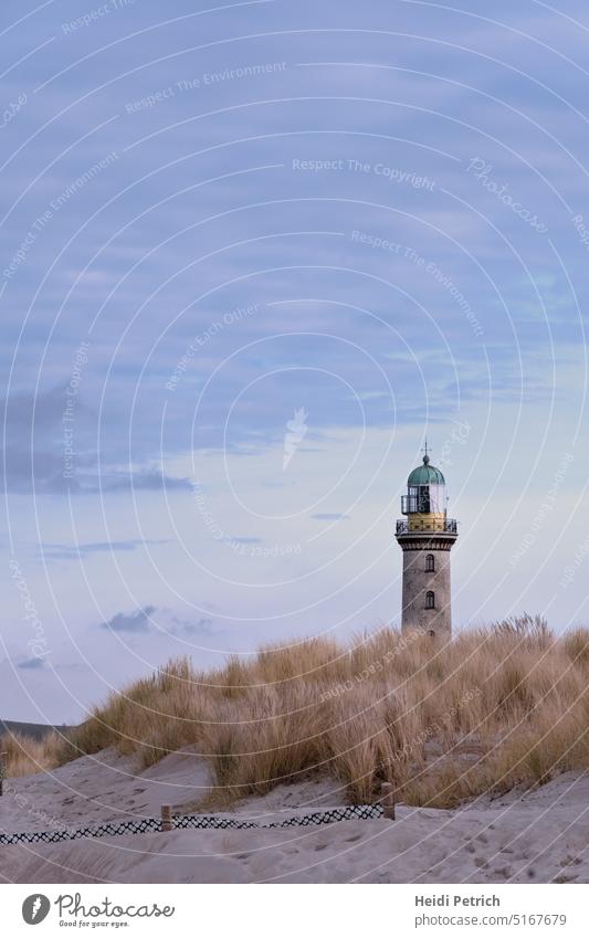 Leuchtturm hinter mit trockenem Gras bewachsenen Düne Sand Tourismus Reise Landschaft Himmel blau Ruhe Stille hell Tag Winter
