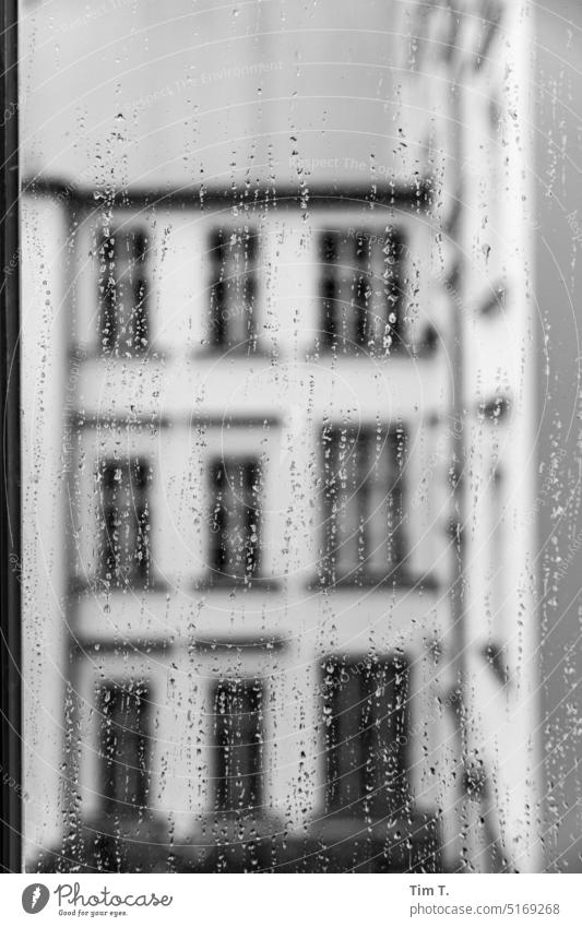 Fenster mit Regentropfen bnw s/w Prenzlauer Berg Berlin Hof Hinterhof Stadt Stadtzentrum Schwarzweißfoto Hauptstadt Tag Altstadt Menschenleer Bauwerk
