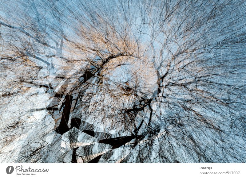 B-B-Baum Kunst Umwelt Natur Himmel Herbst Klimawandel Ast Baumstamm Wachstum außergewöhnlich gigantisch schön viele verrückt chaotisch Netzwerk Perspektive