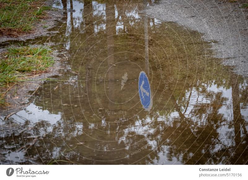 Bäume und blaues Verkehrsschild - vorgeschriebene Fahrtrichtung - spiegeln sich in Pfütze Spiegelung Wasser Straße Wetter Regen Asphalt nass feucht Verkehrswege